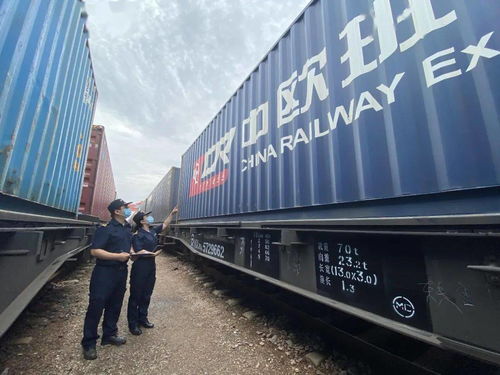 國際海關(guān)日 守護(hù)國門，全力以赴保障供應(yīng)鏈穩(wěn)定高效